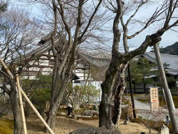高台寺(高台寿聖禅寺・高臺寺)(京都府)