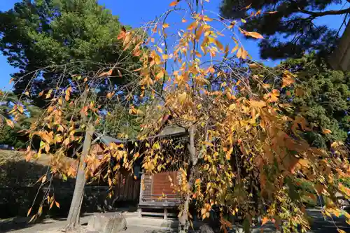 豊景神社の自然