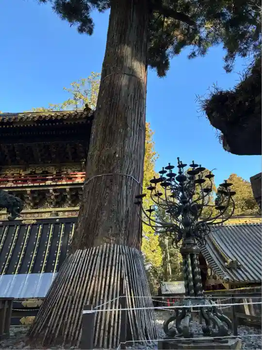 日光東照宮(栃木県)