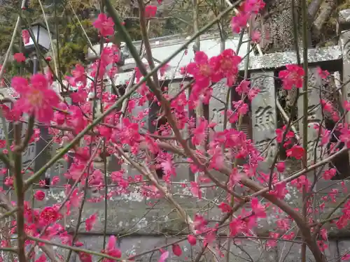御霊神社の自然