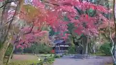 賀茂別雷神社（上賀茂神社）の建物その他