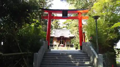 白笹稲荷神社の鳥居