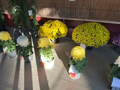 笠間稲荷神社(茨城県)