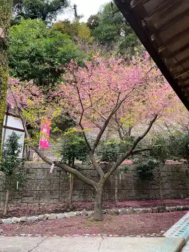 土肥神社(静岡県)