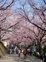 密藏院(埼玉県)