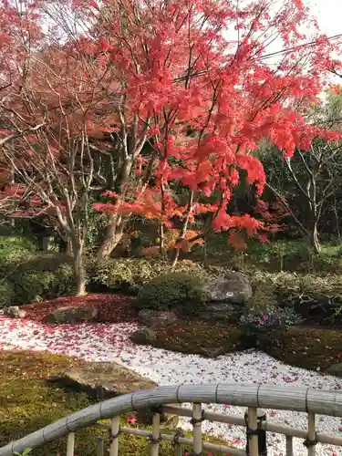 浄妙寺の庭園