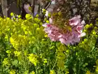 阿邪訶根神社(福島県)