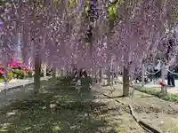 地福寺(徳島県)