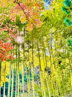 円覚寺(神奈川県)