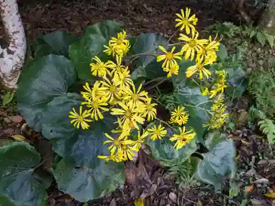 美保神社(島根県)