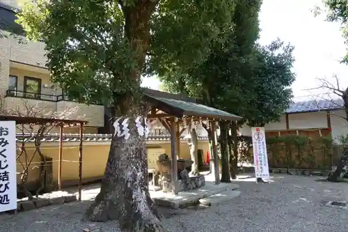 率川神社（大神神社摂社）の手水舎