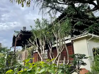 感應寺(東京都)