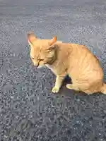 息栖神社の動物