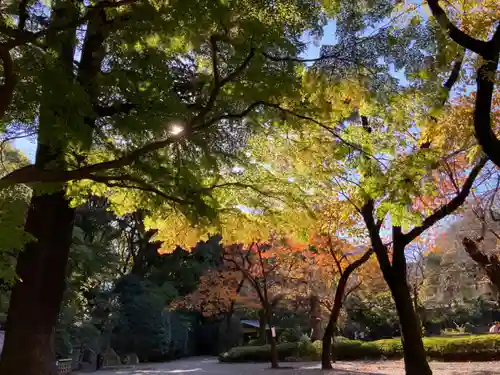 靖國神社の庭園