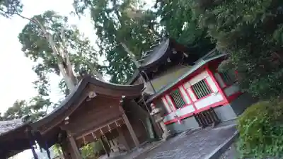 稗田野神社(薭田野神社)の本殿・本堂