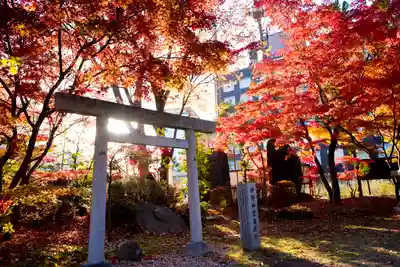 四柱神社の鳥居