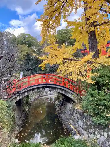 賀茂御祖神社（下鴨神社）(京都府)