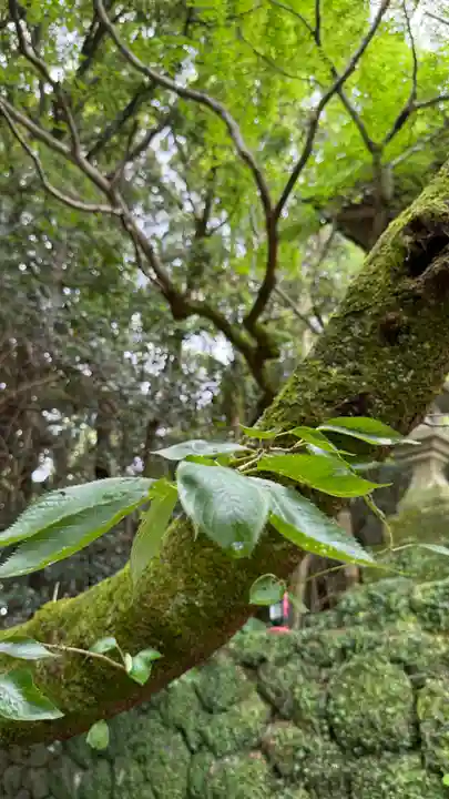 竹林寺(高知県)