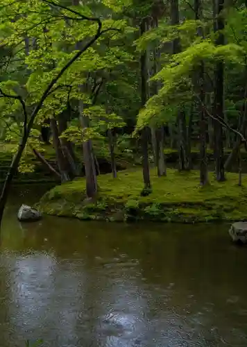 西芳寺の庭園