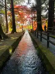 北口本宮冨士浅間神社の建物その他