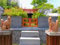 西阿野豊川稲荷の狛犬