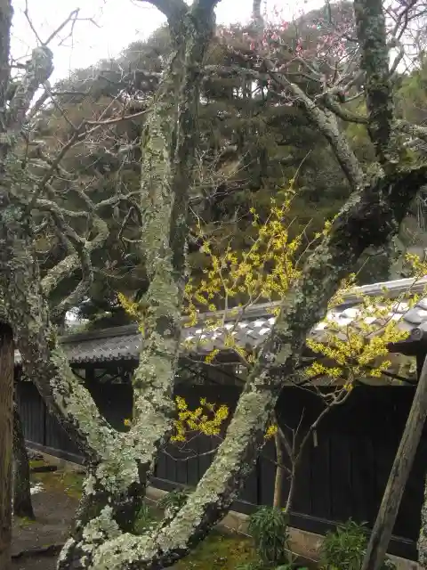 東慶寺の自然