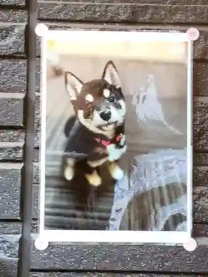 【閉業】小石川大神宮(東京都)