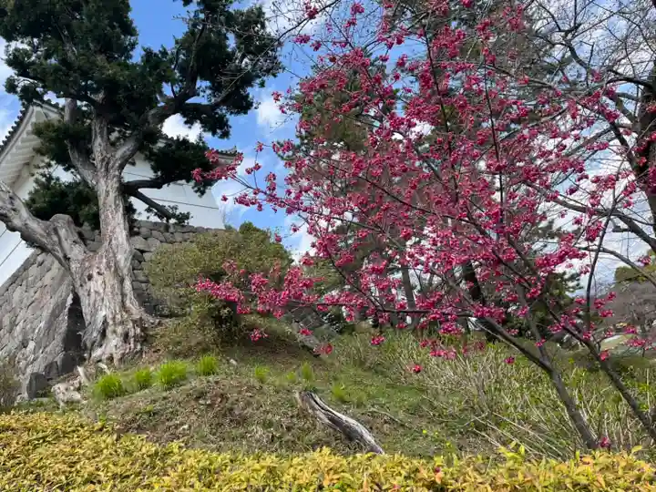 報徳二宮神社の自然