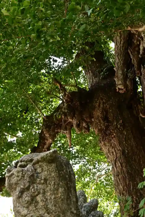 三島神社(愛媛県)