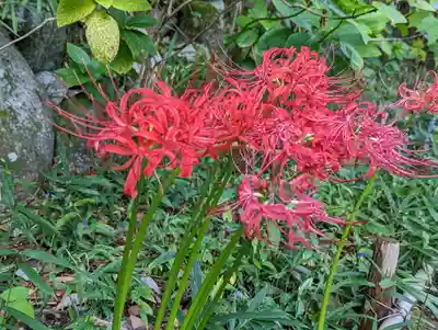 大乗寺(京都府)