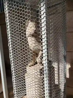 繁栄稲荷神社(東京都)