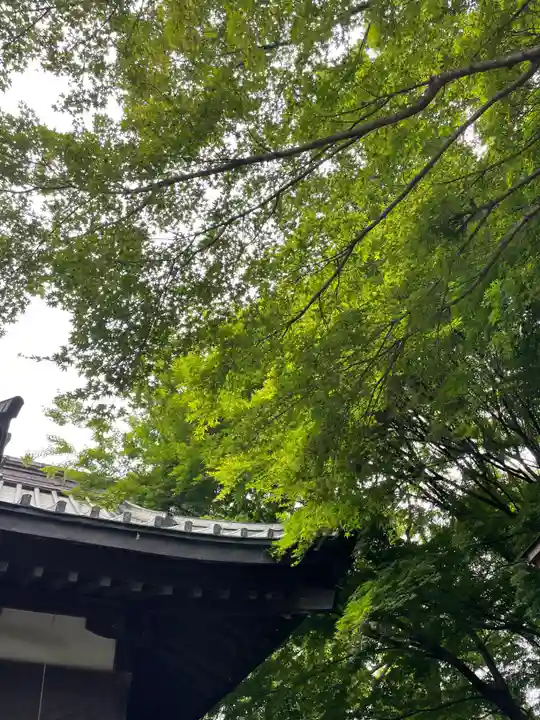 三八城神社の自然