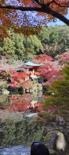 醍醐寺(京都府)