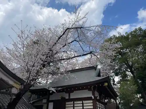 馬橋稲荷神社の自然