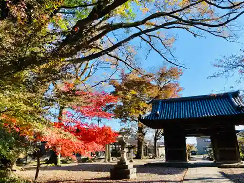 渡岸寺観音堂（向源寺）の山門