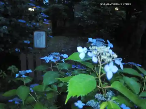 伊勢山皇大神宮(神奈川県)