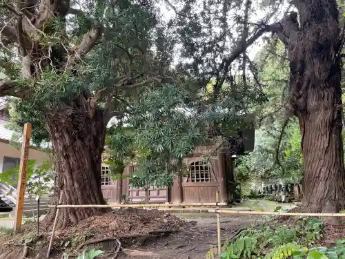 浄光明寺(神奈川県)