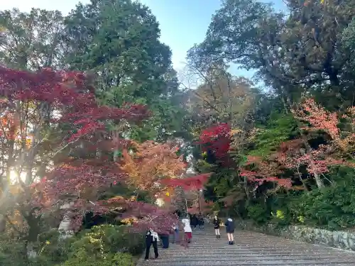 光明寺（粟生光明寺）(京都府)