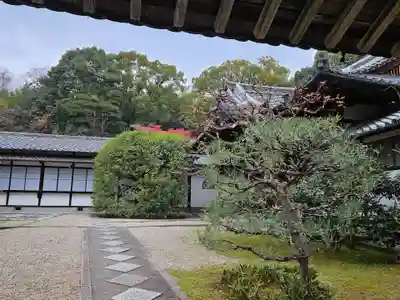 唐招提寺(奈良県)