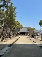大樹寺(松安院大樹寺)(愛知県)