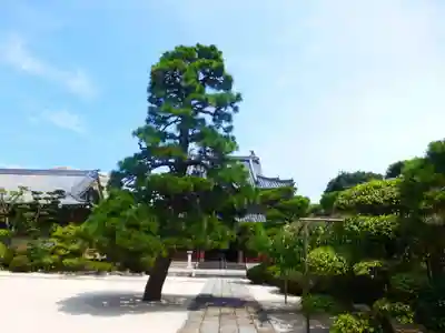 千眼寺(福岡県)