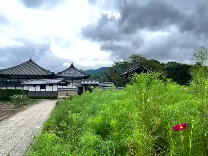 飛鳥寺(奈良県)