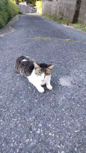 浄瑠璃寺(京都府)