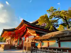 八坂神社(祇園さん)の本殿