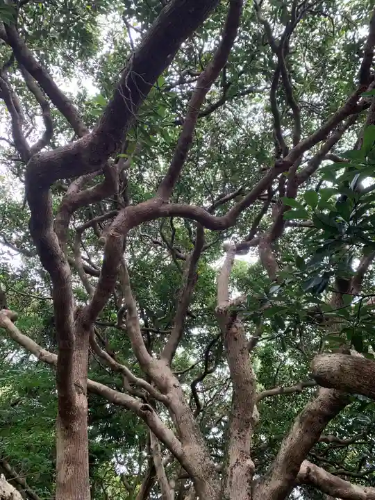 猿田神社の自然