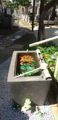 法輪寺の手水舎