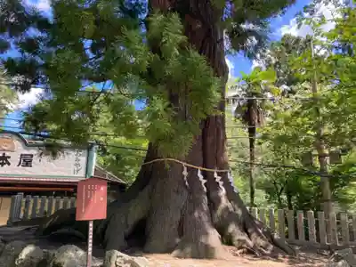 筑波山神社(茨城県)