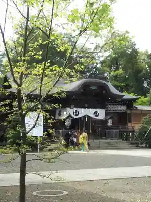 須賀神社の本殿・本堂