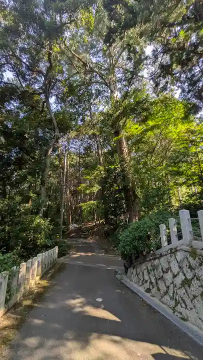 愛宕神社(阿多古神社)(京都府)