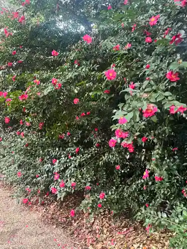 野々宮神社(大阪府)